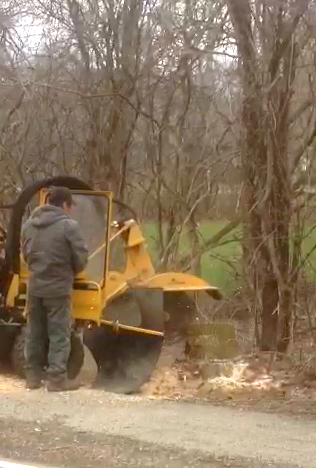 stump grinding